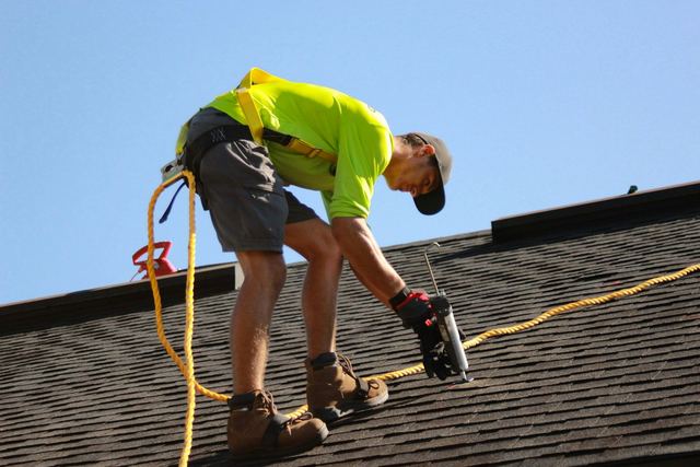A roofer in a safety harness bent over a dark asphalt shingle roof, working with a power tool